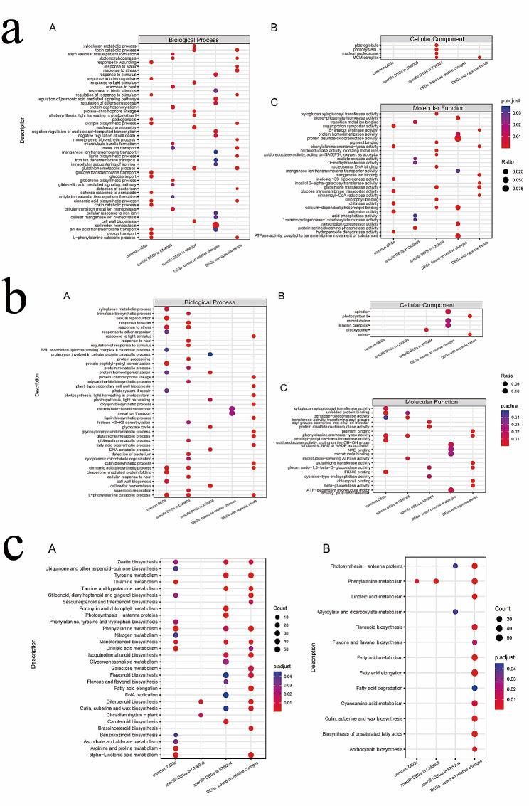 https://cdn.ncbi.nlm.nih.gov/pmc/blobs/50ff/11015659/2daa9b8fc0fc/12863_2024_1221_Fig4_HTML.jpg