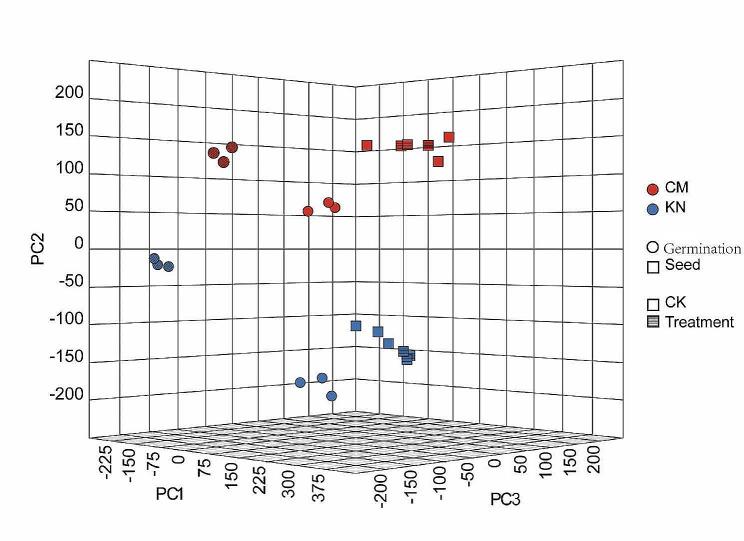 https://cdn.ncbi.nlm.nih.gov/pmc/blobs/50ff/11015659/ad7982b0db5e/12863_2024_1221_Fig2_HTML.jpg