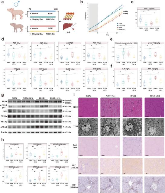 https://cdn.ncbi.nlm.nih.gov/pmc/blobs/50ff/11321654/ffbcb0f9167c/ADVS-11-2403095-g009.jpg