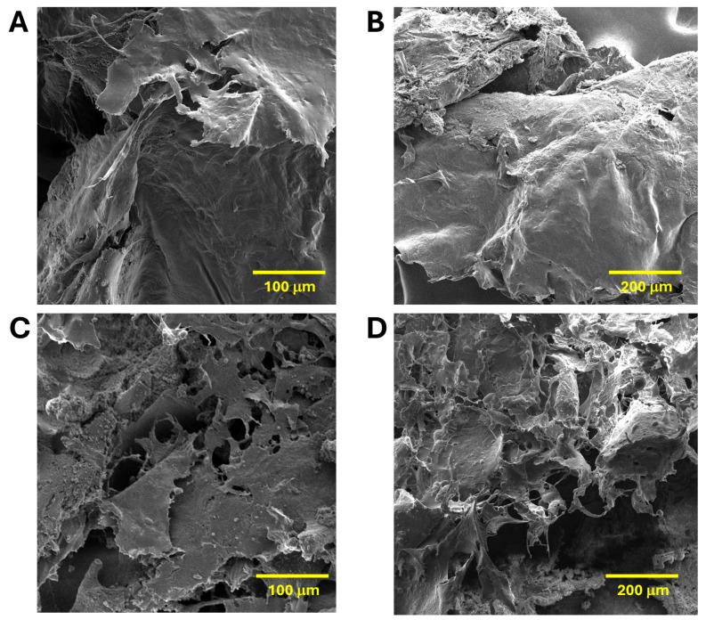 https://cdn.ncbi.nlm.nih.gov/pmc/blobs/5100/11431386/4da9158bcdaf/gels-10-00574-g003.jpg