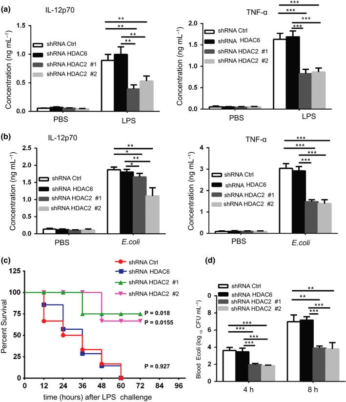 https://cdn.ncbi.nlm.nih.gov/pmc/blobs/5100/7379312/89ea4d23d46c/IMCB-97-72-g003.jpg