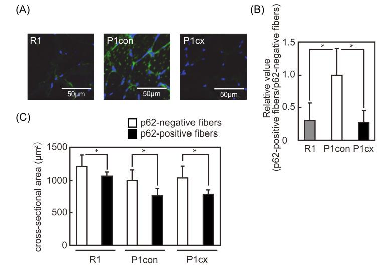 https://cdn.ncbi.nlm.nih.gov/pmc/blobs/5100/7468743/706ee512b4ca/nutrients-12-02180-g004.jpg