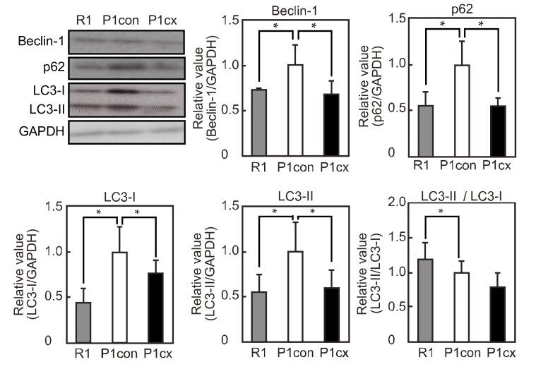 https://cdn.ncbi.nlm.nih.gov/pmc/blobs/5100/7468743/ba59d694006a/nutrients-12-02180-g003.jpg