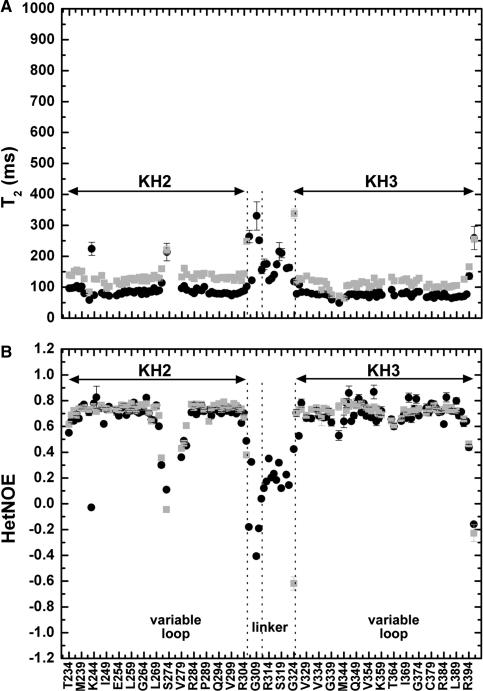https://cdn.ncbi.nlm.nih.gov/pmc/blobs/5102/2926597/5f15279ca1e0/gkq216f3.jpg