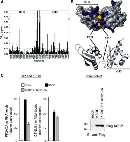 https://cdn.ncbi.nlm.nih.gov/pmc/blobs/5102/2926597/d8d8cfc1fc8e/gkq216f8.jpg