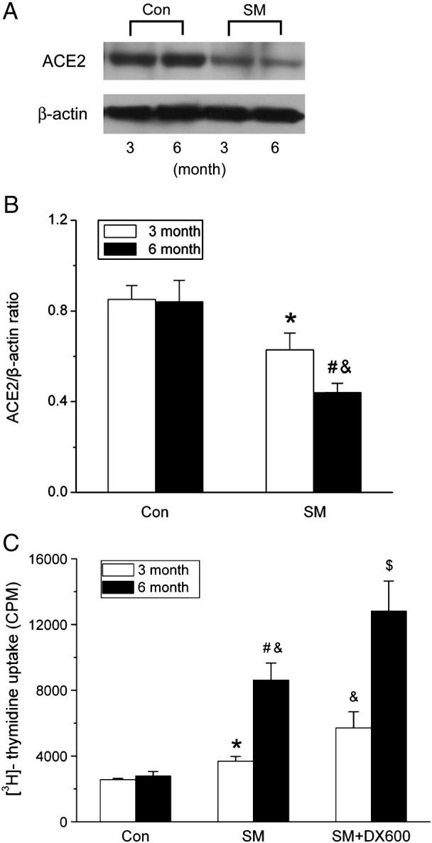 https://cdn.ncbi.nlm.nih.gov/pmc/blobs/5102/7103128/8a240d50ecfd/gr5_lrg.jpg