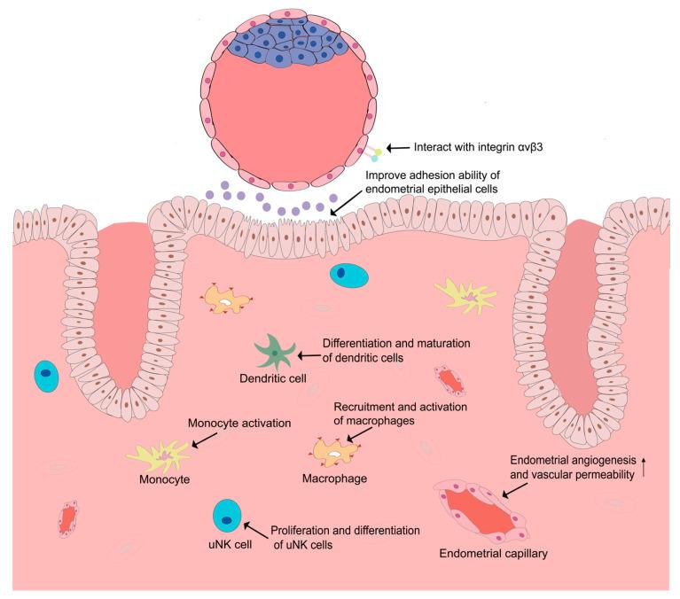 https://cdn.ncbi.nlm.nih.gov/pmc/blobs/5102/7916576/0f5ab734e872/biomolecules-11-00253-g001.jpg