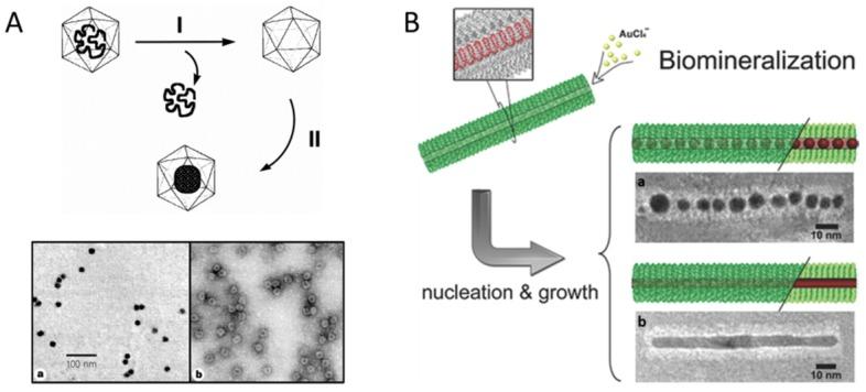 https://cdn.ncbi.nlm.nih.gov/pmc/blobs/5103/5646737/d5175d693485/ntnov01p0358g001.jpg