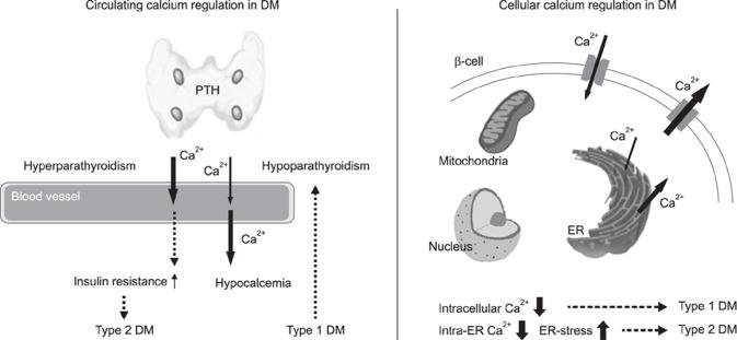 https://cdn.ncbi.nlm.nih.gov/pmc/blobs/5104/5639077/7e6718000ab3/jvs-18-3-261-g001.jpg