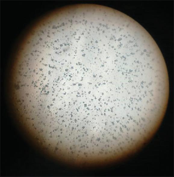 https://cdn.ncbi.nlm.nih.gov/pmc/blobs/5108/6383348/5e57f0693368/JAPTR-10-20-g001.jpg
