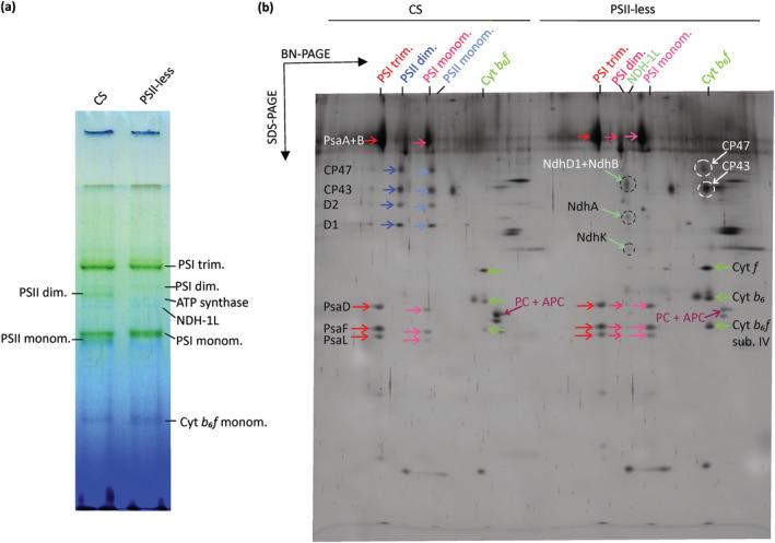 https://cdn.ncbi.nlm.nih.gov/pmc/blobs/5109/9219013/e7811d2afeb9/PLD3-6-e409-g002.jpg