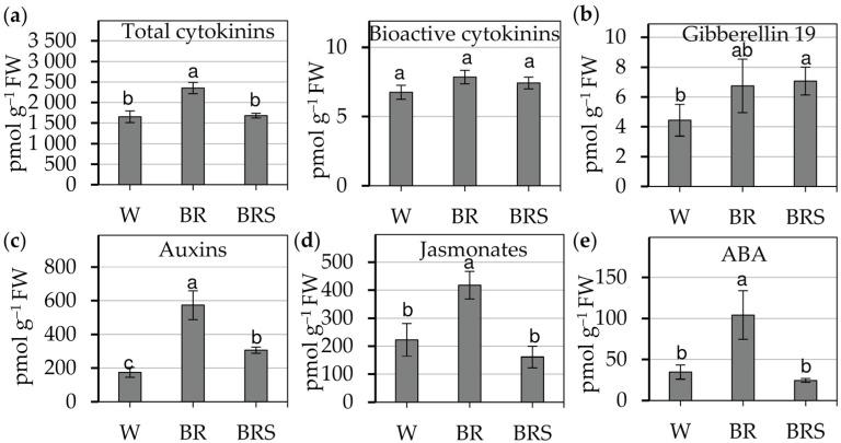 https://cdn.ncbi.nlm.nih.gov/pmc/blobs/510a/12348697/cb1b93fee0ce/plants-14-02285-g003.jpg