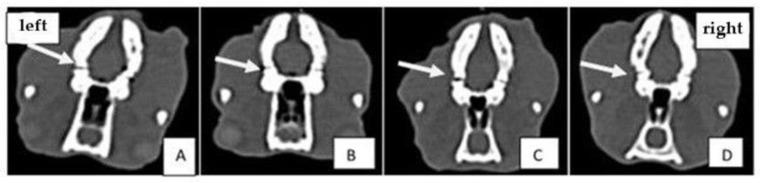 https://cdn.ncbi.nlm.nih.gov/pmc/blobs/510b/8872554/ef4d91bdc0b8/gels-08-00134-g002.jpg
