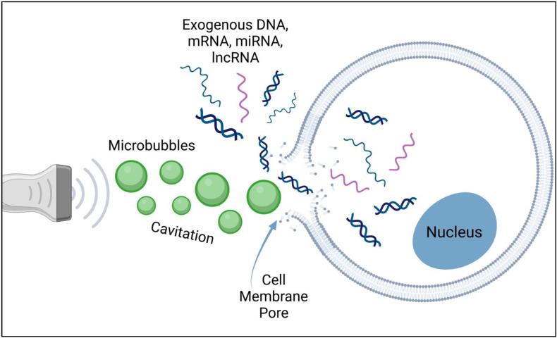 https://cdn.ncbi.nlm.nih.gov/pmc/blobs/510b/9137703/fe72acd7f506/bioengineering-09-00190-g001.jpg
