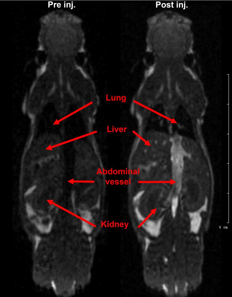 https://cdn.ncbi.nlm.nih.gov/pmc/blobs/510c/9299340/cde02f1b093a/pone.0264554.g004.jpg