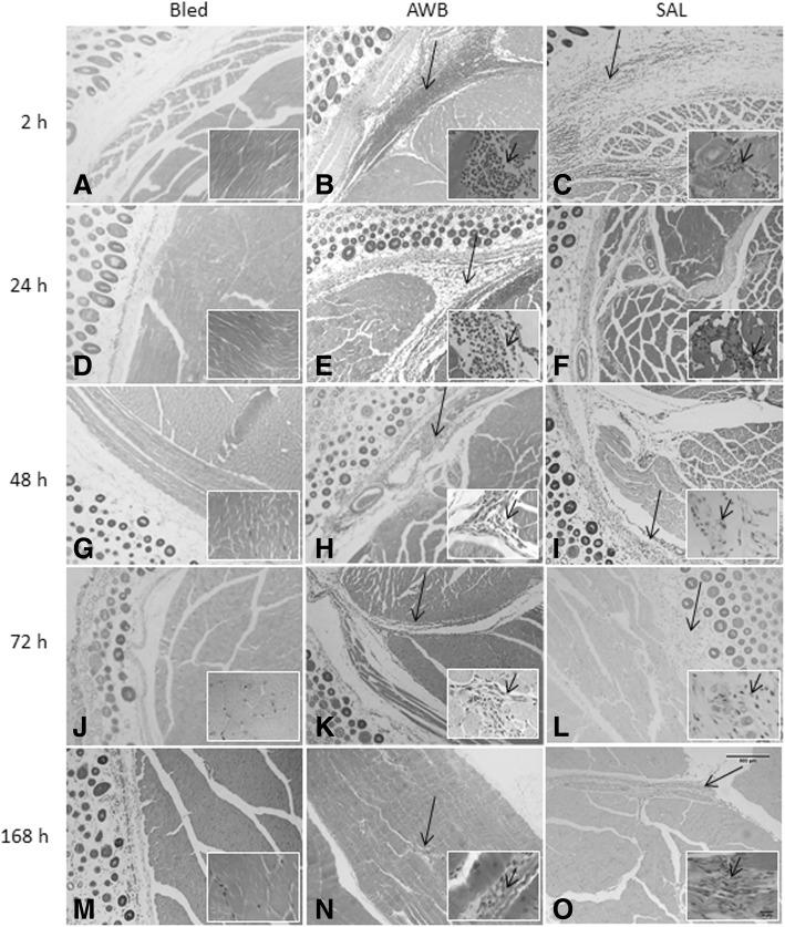 https://cdn.ncbi.nlm.nih.gov/pmc/blobs/510d/6117903/040b9a16b316/40409_2018_157_Fig7_HTML.jpg