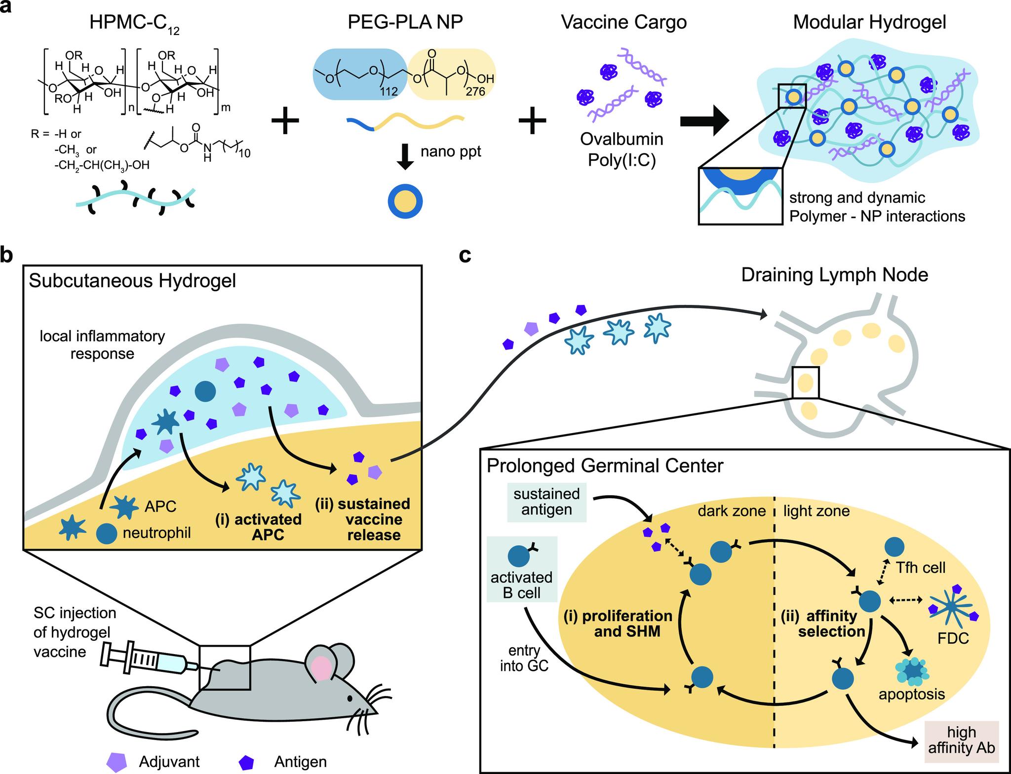 https://cdn.ncbi.nlm.nih.gov/pmc/blobs/510e/7596866/869b3e3a5905/oc0c00732_0001.jpg