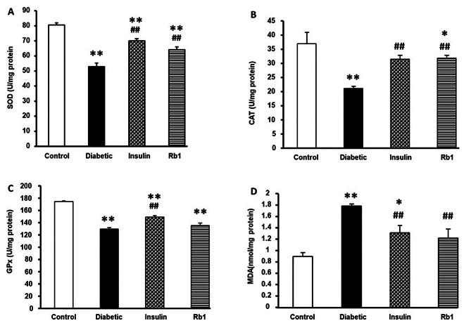 https://cdn.ncbi.nlm.nih.gov/pmc/blobs/510f/11221176/0c38ffe505cf/12872_2024_4005_Fig4_HTML.jpg
