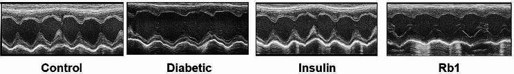 https://cdn.ncbi.nlm.nih.gov/pmc/blobs/510f/11221176/0d850bdbf5cc/12872_2024_4005_Fig3_HTML.jpg