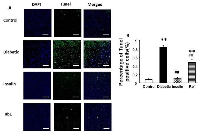 https://cdn.ncbi.nlm.nih.gov/pmc/blobs/510f/11221176/6ffa939bfa9c/12872_2024_4005_Fig7_HTML.jpg
