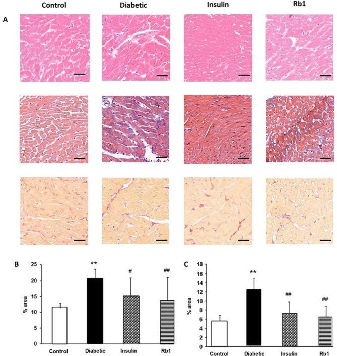 https://cdn.ncbi.nlm.nih.gov/pmc/blobs/510f/11221176/9f638235535a/12872_2024_4005_Fig5_HTML.jpg