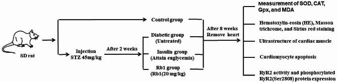 https://cdn.ncbi.nlm.nih.gov/pmc/blobs/510f/11221176/b655cb3ea649/12872_2024_4005_Fig2_HTML.jpg