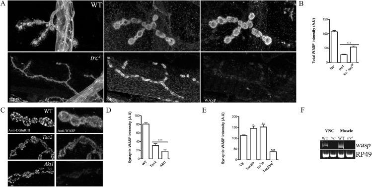 https://cdn.ncbi.nlm.nih.gov/pmc/blobs/5113/4578898/3d4f5cda5c74/pone.0138188.g005.jpg