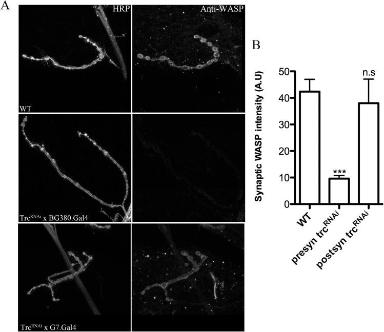 https://cdn.ncbi.nlm.nih.gov/pmc/blobs/5113/4578898/e8955a0f964a/pone.0138188.g006.jpg