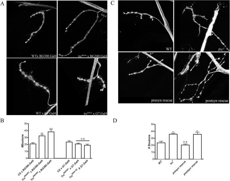 https://cdn.ncbi.nlm.nih.gov/pmc/blobs/5113/4578898/fd3da08c8ea3/pone.0138188.g003.jpg