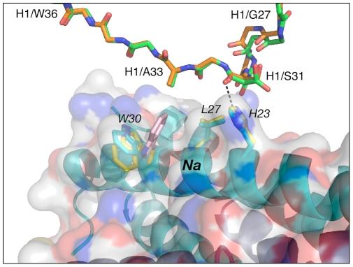 https://cdn.ncbi.nlm.nih.gov/pmc/blobs/5114/2978731/ded9933ecaea/ppat.1001182.g004.jpg