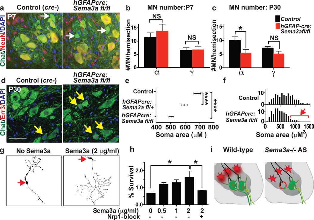 https://cdn.ncbi.nlm.nih.gov/pmc/blobs/5114/4057936/6fa8bab440c9/nihms568252f3.jpg