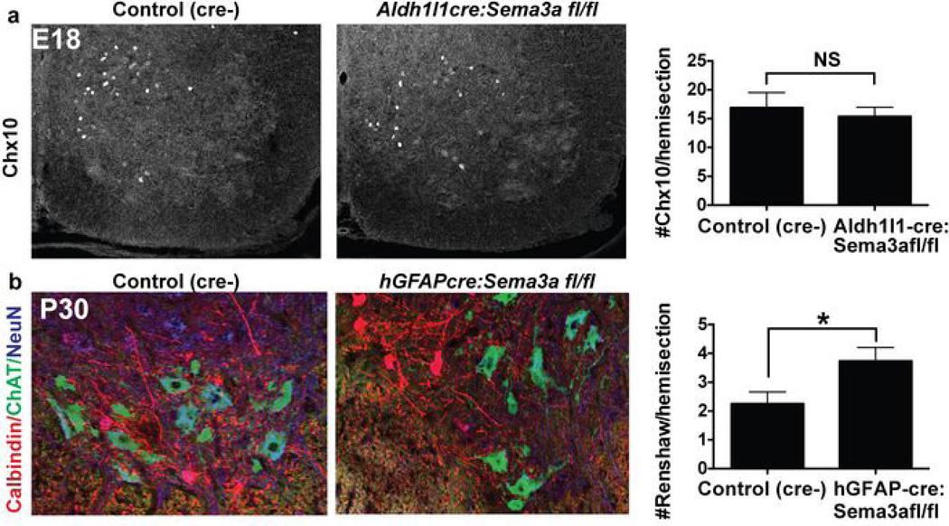 https://cdn.ncbi.nlm.nih.gov/pmc/blobs/5114/4057936/9089d92cfec2/nihms568252f11.jpg