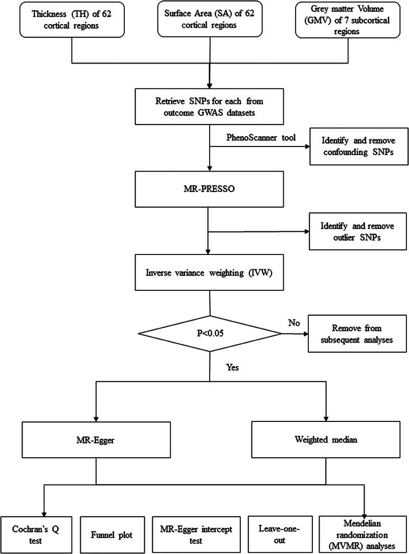 https://cdn.ncbi.nlm.nih.gov/pmc/blobs/5115/10654478/6ab3edcb8c07/SRT-29-e13515-g002.jpg
