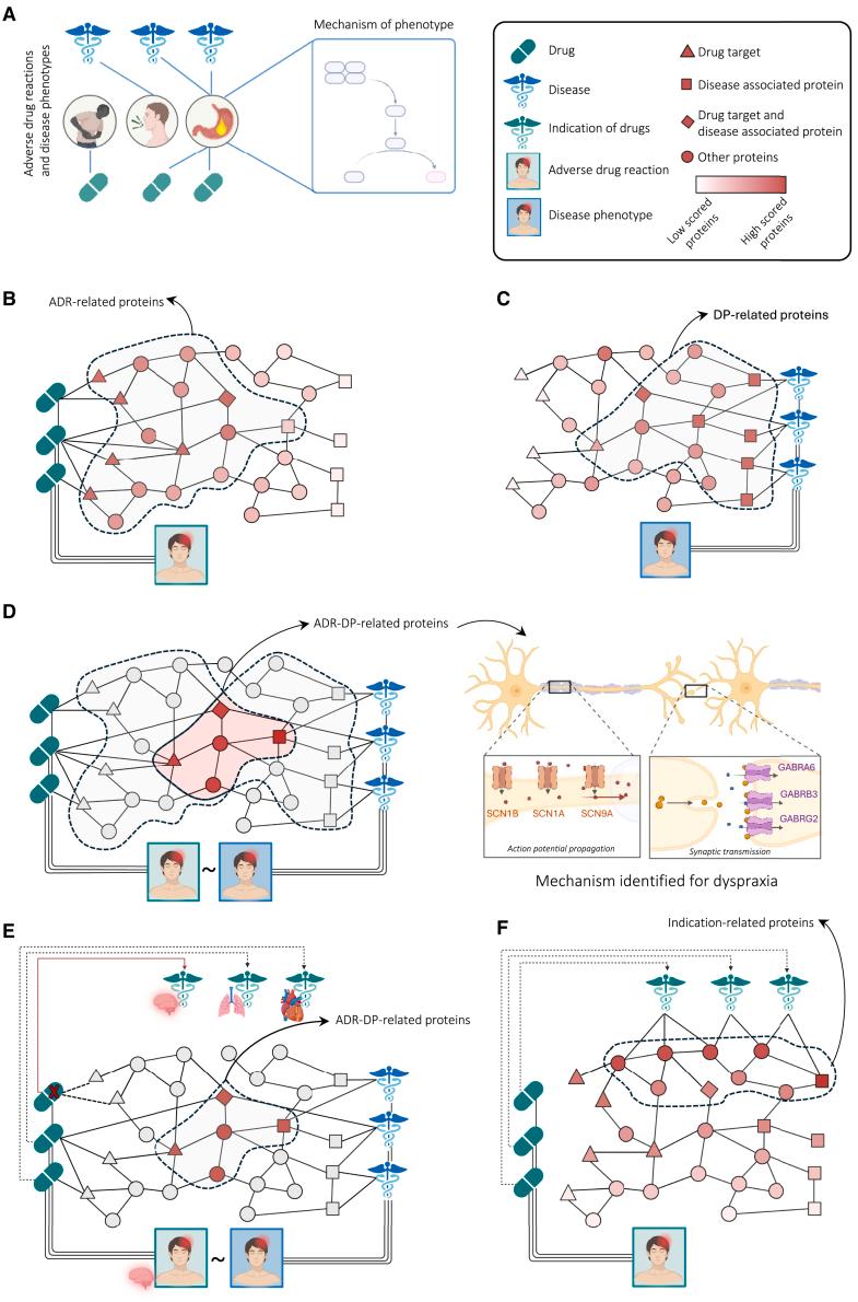 https://cdn.ncbi.nlm.nih.gov/pmc/blobs/511a/11955268/c03b61a0ddfc/gr1.jpg
