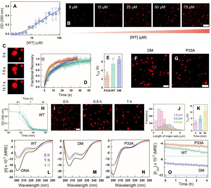 https://cdn.ncbi.nlm.nih.gov/pmc/blobs/511a/12259020/3b764420baef/elife-105461-fig5.jpg