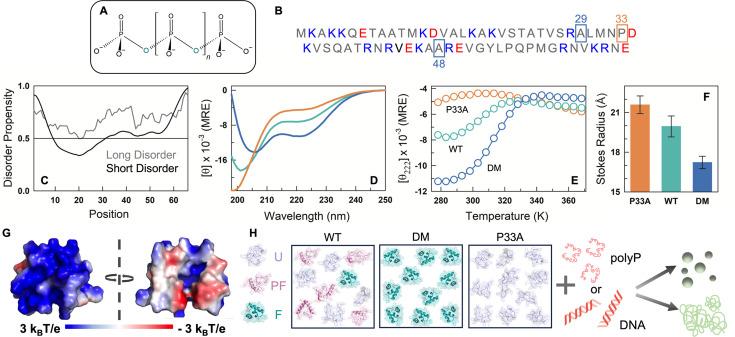 https://cdn.ncbi.nlm.nih.gov/pmc/blobs/511a/12259020/5a88df79ed9c/elife-105461-fig1.jpg