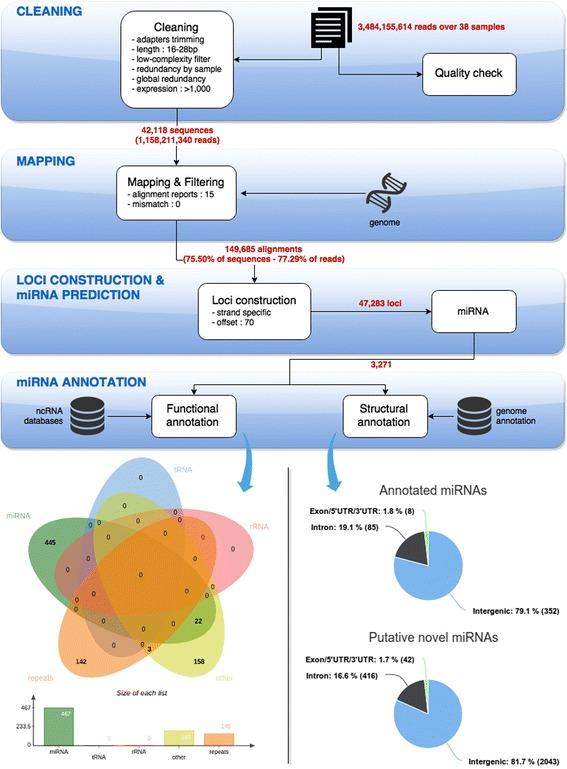 https://cdn.ncbi.nlm.nih.gov/pmc/blobs/511a/4774146/8a5974c4ff88/12864_2016_2505_Fig1_HTML.jpg