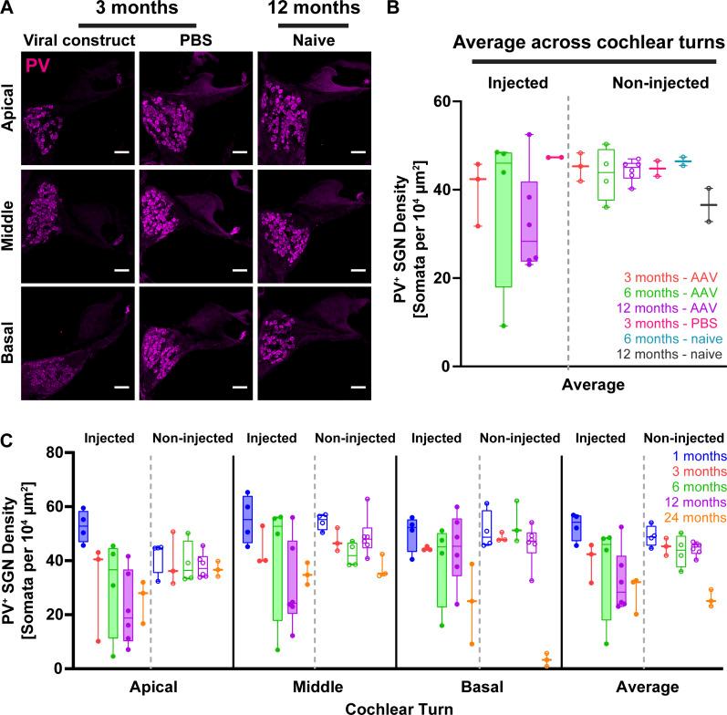 https://cdn.ncbi.nlm.nih.gov/pmc/blobs/511b/9258265/5e7a599385ca/LSA-2021-01338_Fig2.jpg