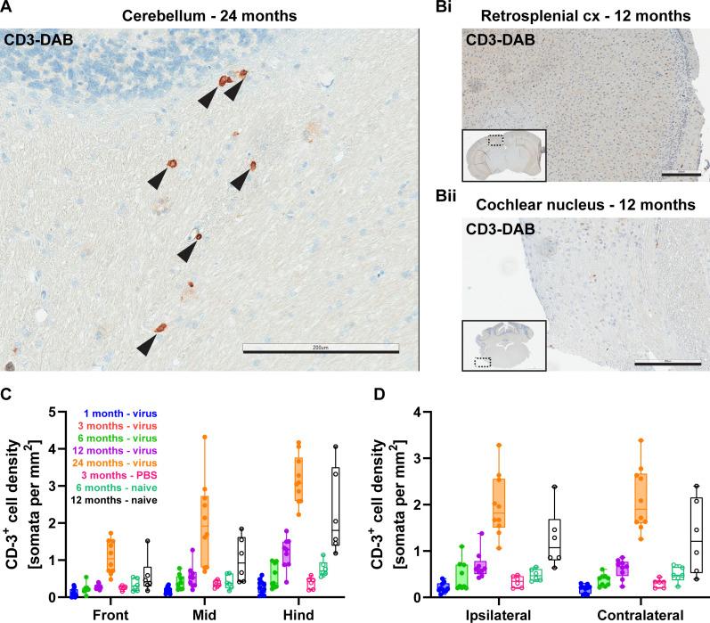 https://cdn.ncbi.nlm.nih.gov/pmc/blobs/511b/9258265/dc1d5b049066/LSA-2021-01338_Fig5.jpg