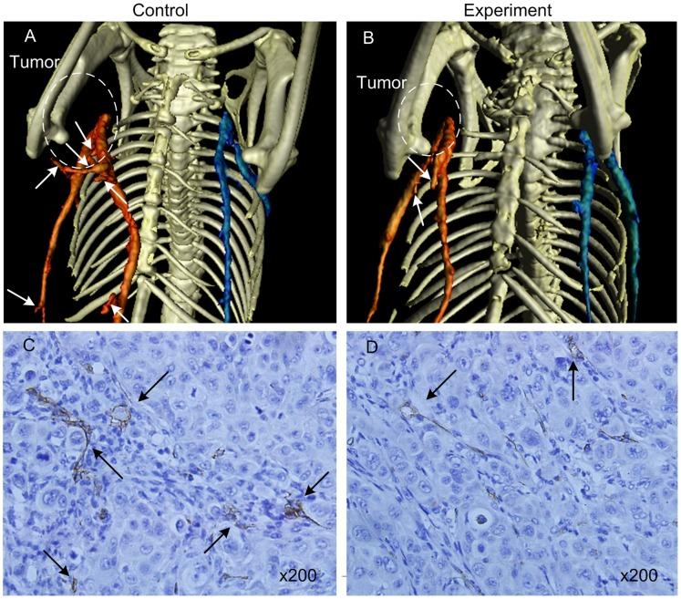 https://cdn.ncbi.nlm.nih.gov/pmc/blobs/511c/3885728/d4f630c0e38d/pone.0085559.g002.jpg