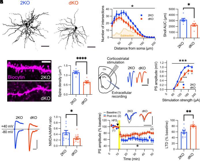 https://cdn.ncbi.nlm.nih.gov/pmc/blobs/511e/10469033/d38d075263d4/pnas.2304323120fig03.jpg