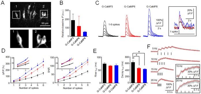 https://cdn.ncbi.nlm.nih.gov/pmc/blobs/511e/3519846/70b53f82e644/pone.0051286.g002.jpg