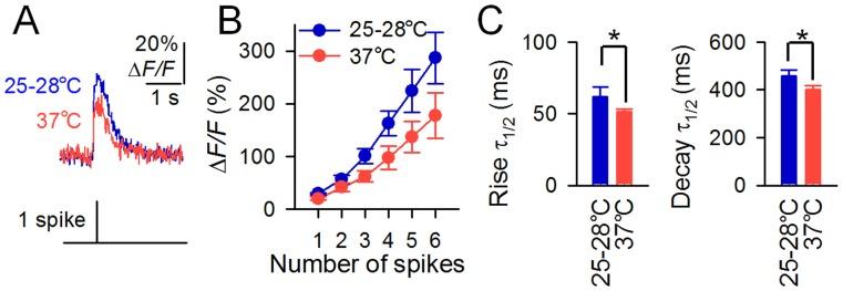 https://cdn.ncbi.nlm.nih.gov/pmc/blobs/511e/3519846/d9fd906fcb76/pone.0051286.g004.jpg