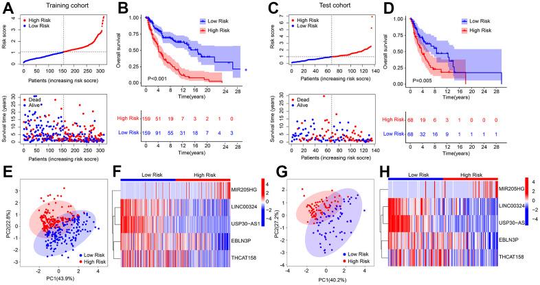 https://cdn.ncbi.nlm.nih.gov/pmc/blobs/5120/10683585/24c9e76eb27d/aging-15-205157-g002.jpg