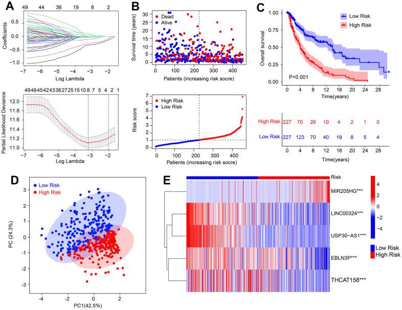 https://cdn.ncbi.nlm.nih.gov/pmc/blobs/5120/10683585/80bf40929a4e/aging-15-205157-g001.jpg