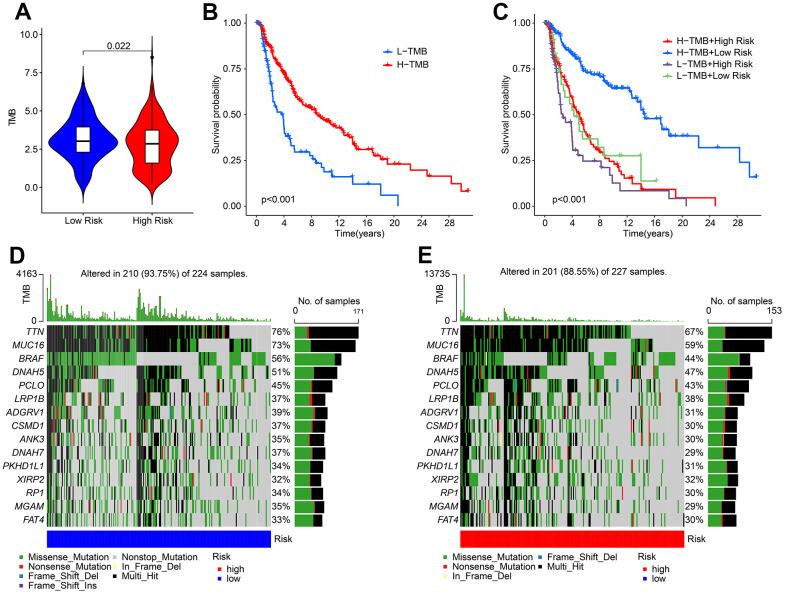 https://cdn.ncbi.nlm.nih.gov/pmc/blobs/5120/10683585/ddb844c0bb24/aging-15-205157-g009.jpg
