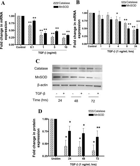 https://cdn.ncbi.nlm.nih.gov/pmc/blobs/5121/3043811/c82bcd1c670a/zh50021158150002.jpg