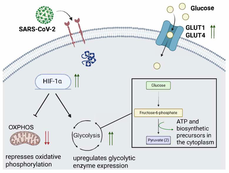 https://cdn.ncbi.nlm.nih.gov/pmc/blobs/5123/12196163/333501cb701a/microorganisms-13-01390-g001.jpg