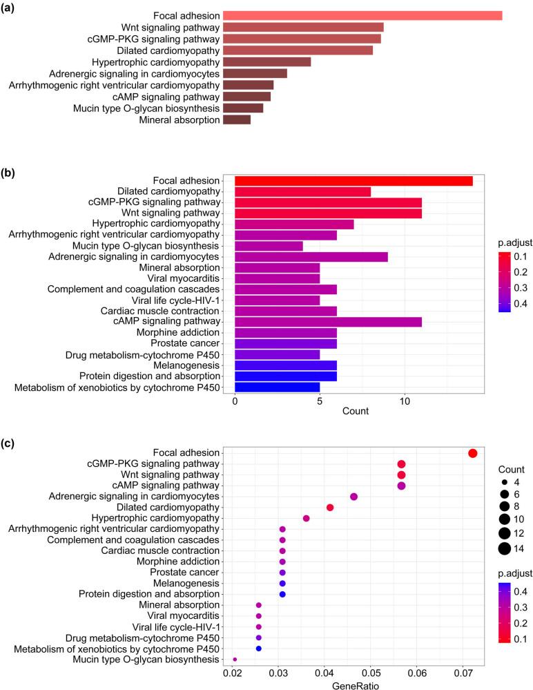 https://cdn.ncbi.nlm.nih.gov/pmc/blobs/5126/10775416/3fdc12f611f4/j_med-2023-0875-fig002.jpg