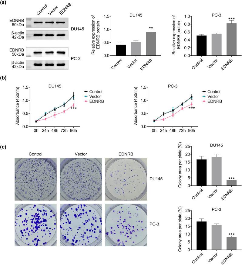 https://cdn.ncbi.nlm.nih.gov/pmc/blobs/5126/10775416/50d11c4c6eb1/j_med-2023-0875-fig005.jpg
